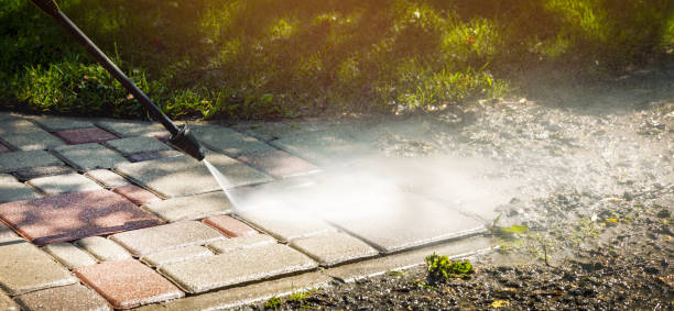 Best Roof Washing  in Fort Pierce North, FL